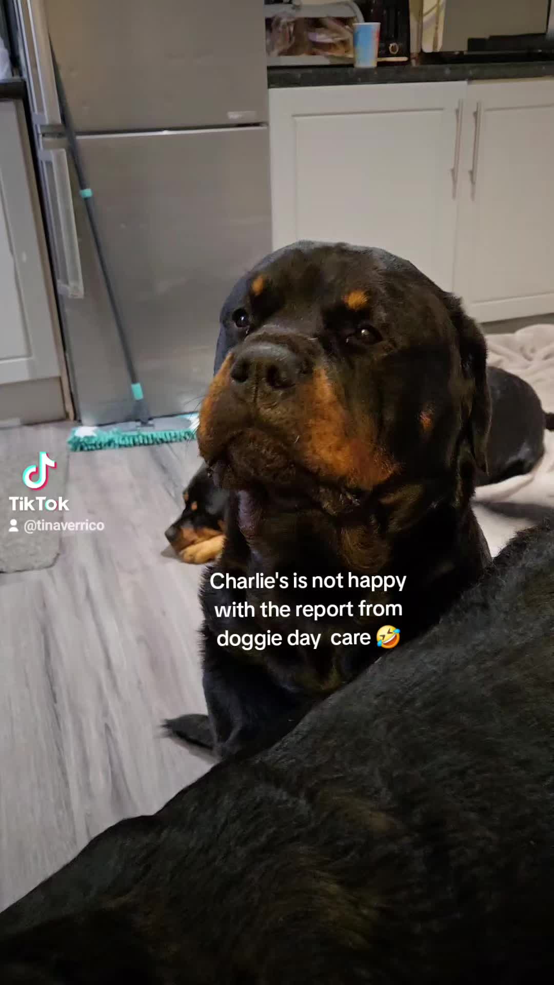 @reggie 💔💔