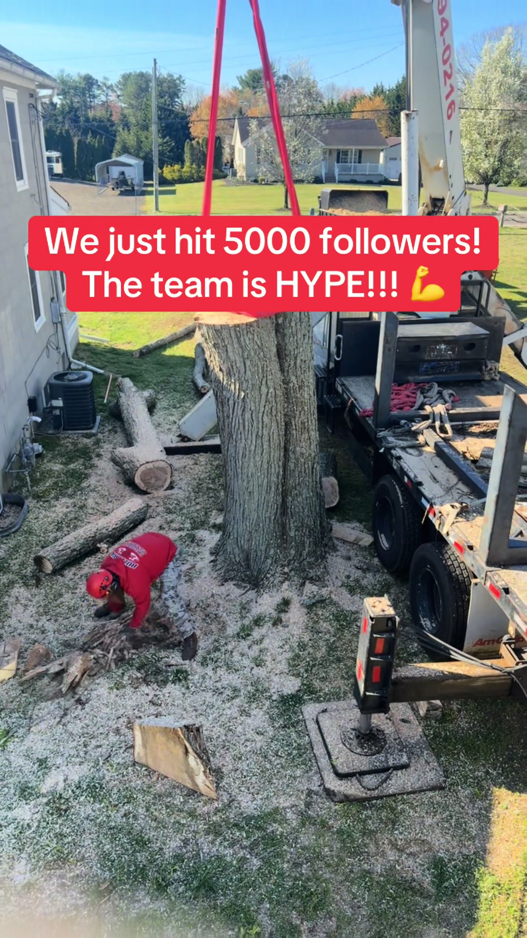 @Buzzsawtrees