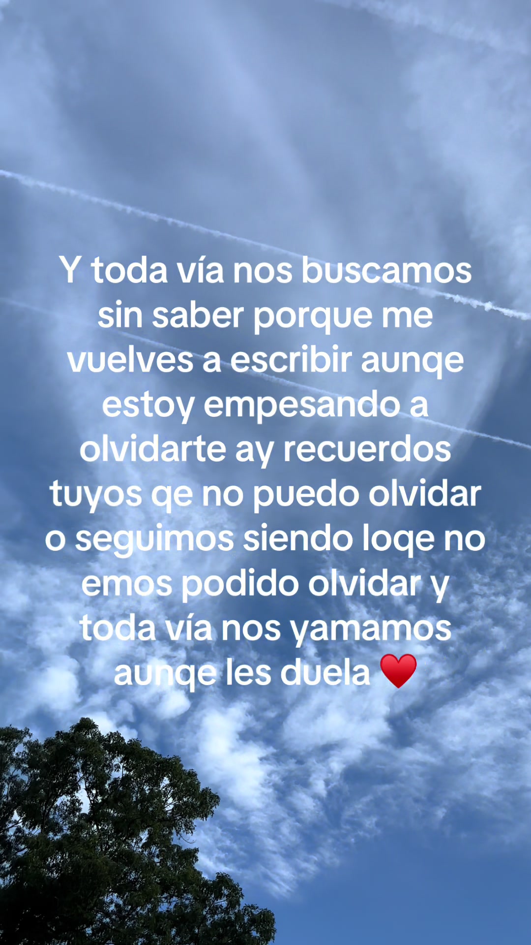 @bbchaparrita3