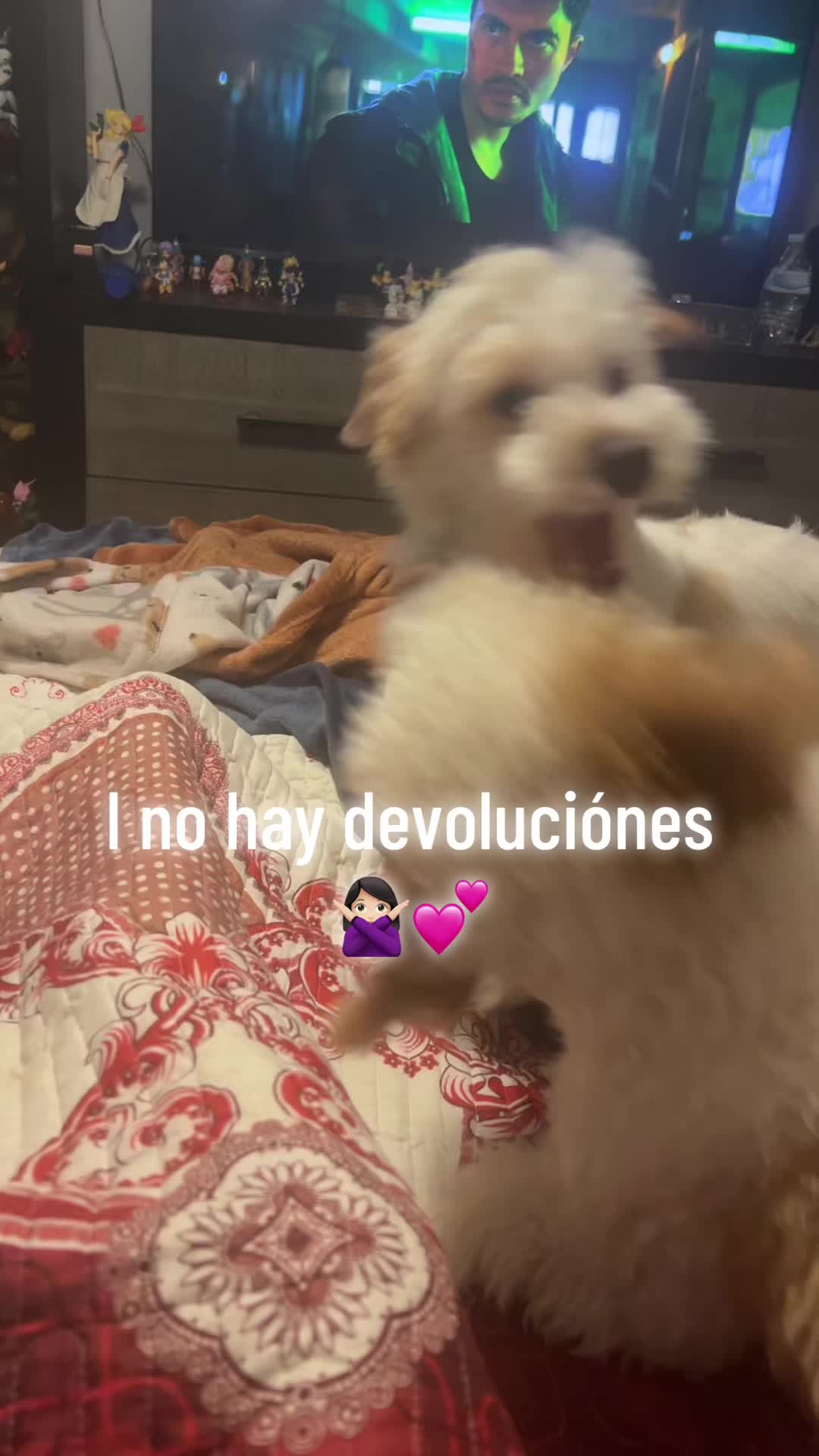 @Morenita
