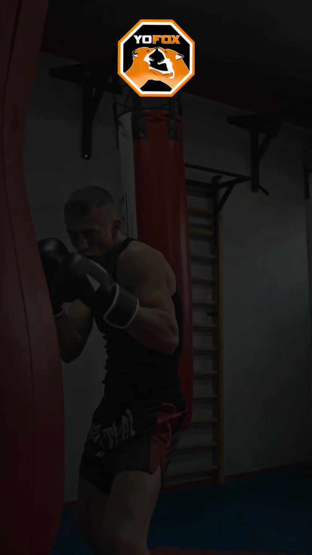 @YofoxMMA