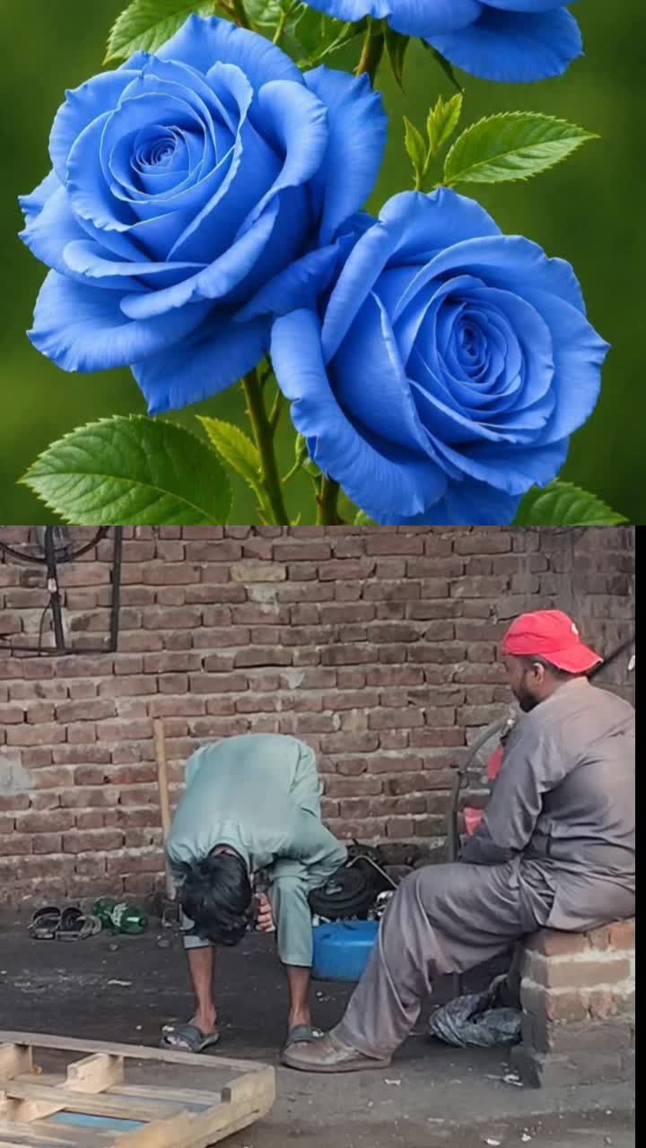 @Mr Irfan007
