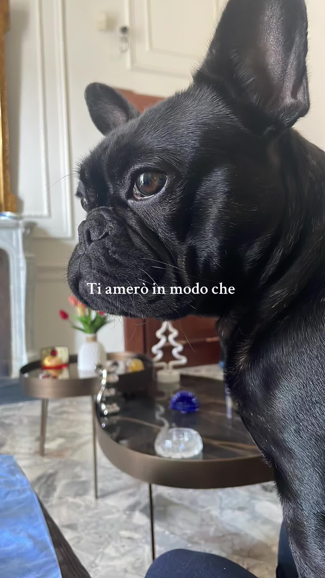 @Federica Maietta