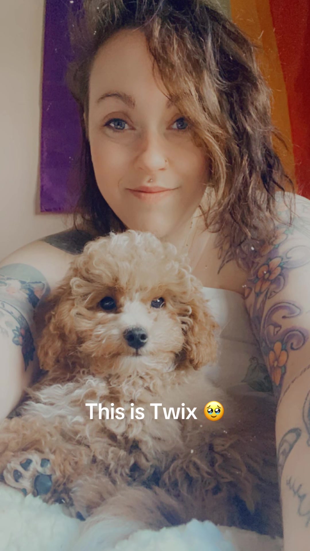 @TinaTwoPoodles🐩🎀