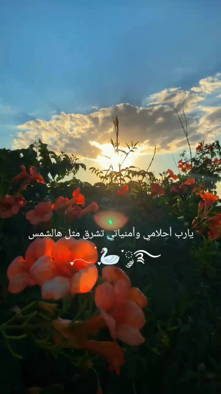@نِـجِمَـةة☆