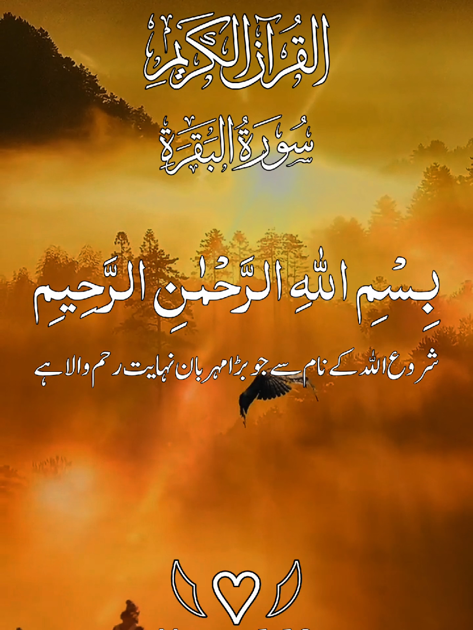 @HOLY QURAN