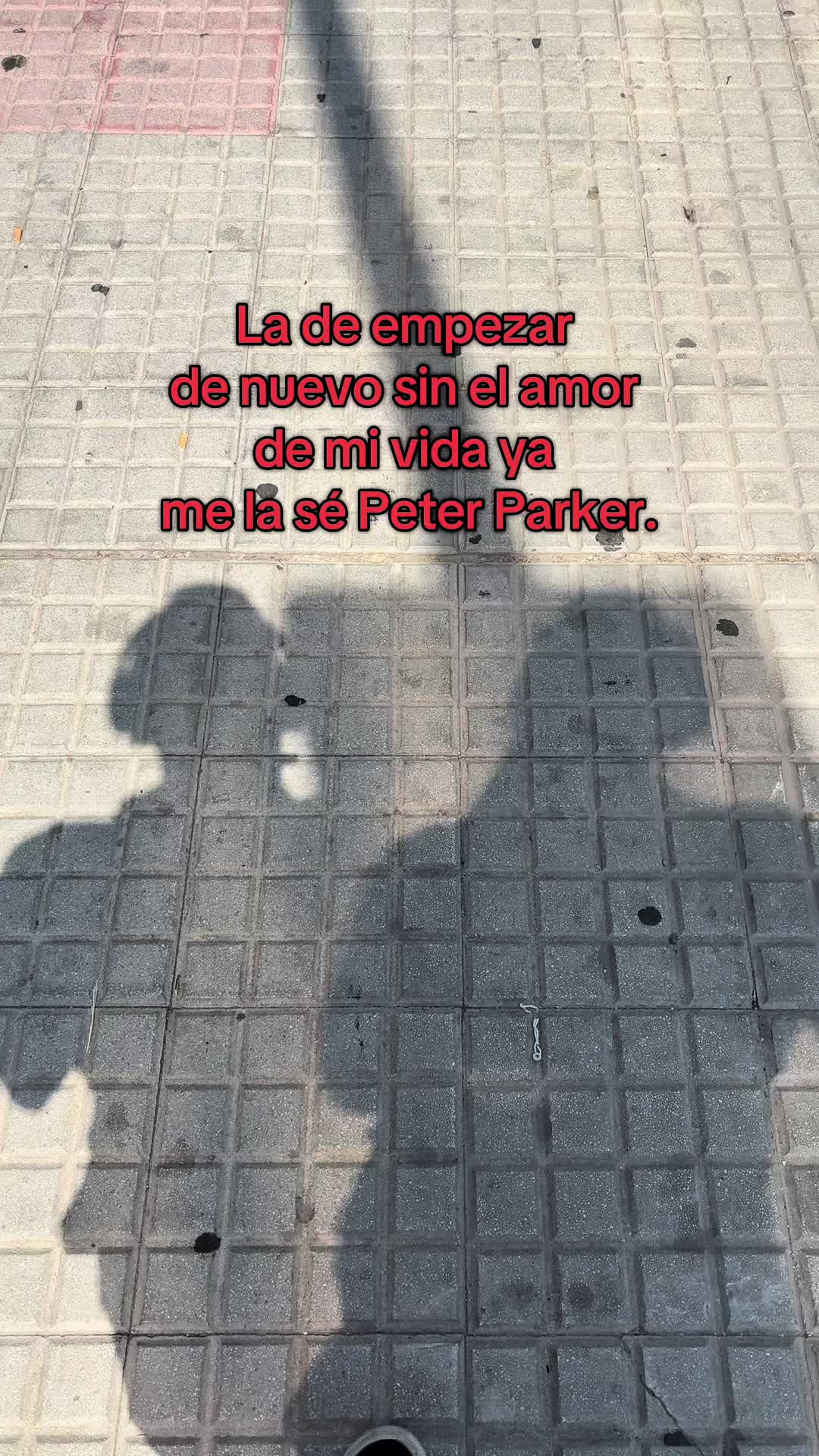@Manuel Alvarez©️