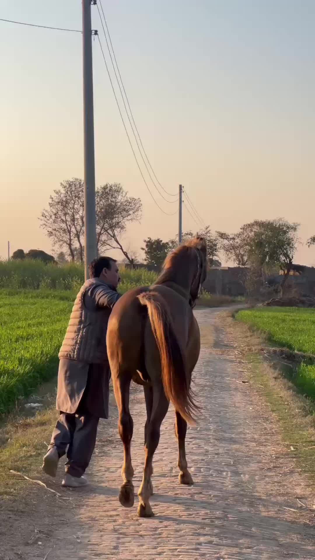 @Syed Asad Rizvi