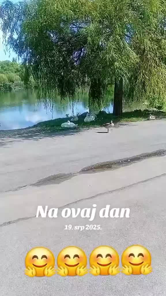 @Dodir Neba 🤗