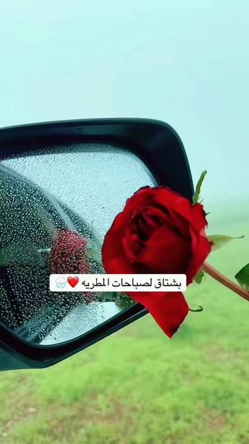@a11__22