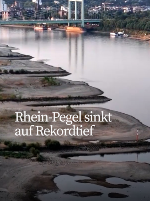 @Frankfurter Allgemeine