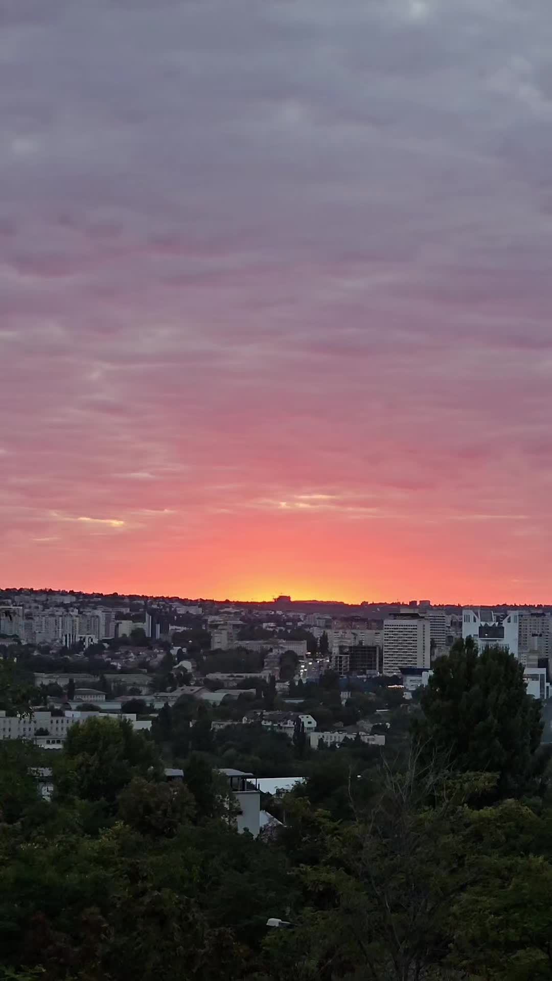 @Nadejda Cibric