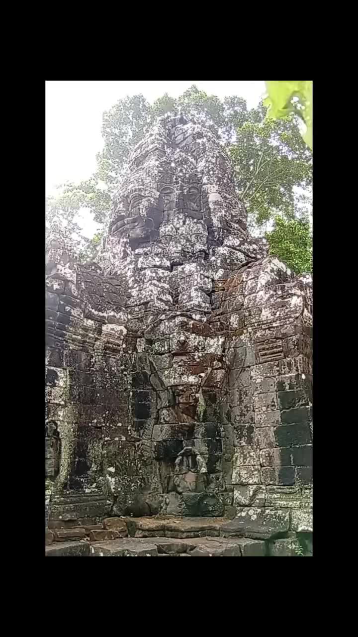 @wanderingheartsasia