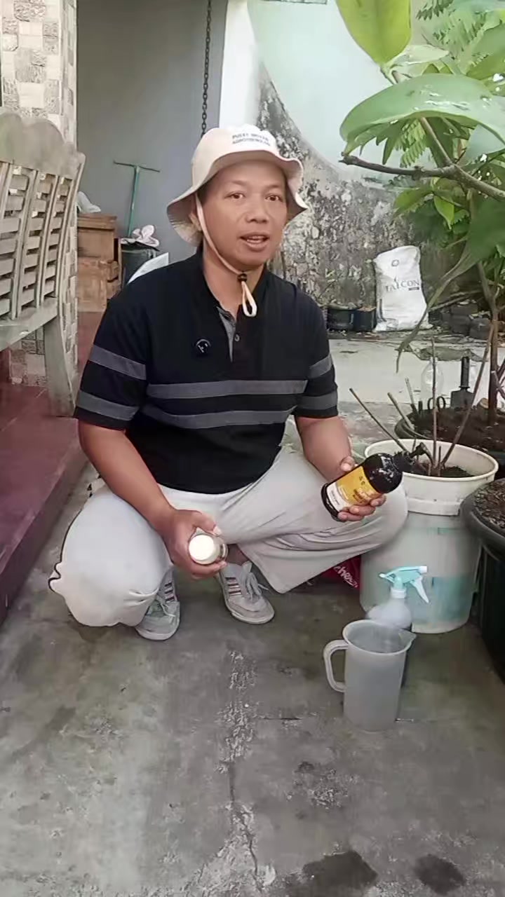@Berkebun Berkah