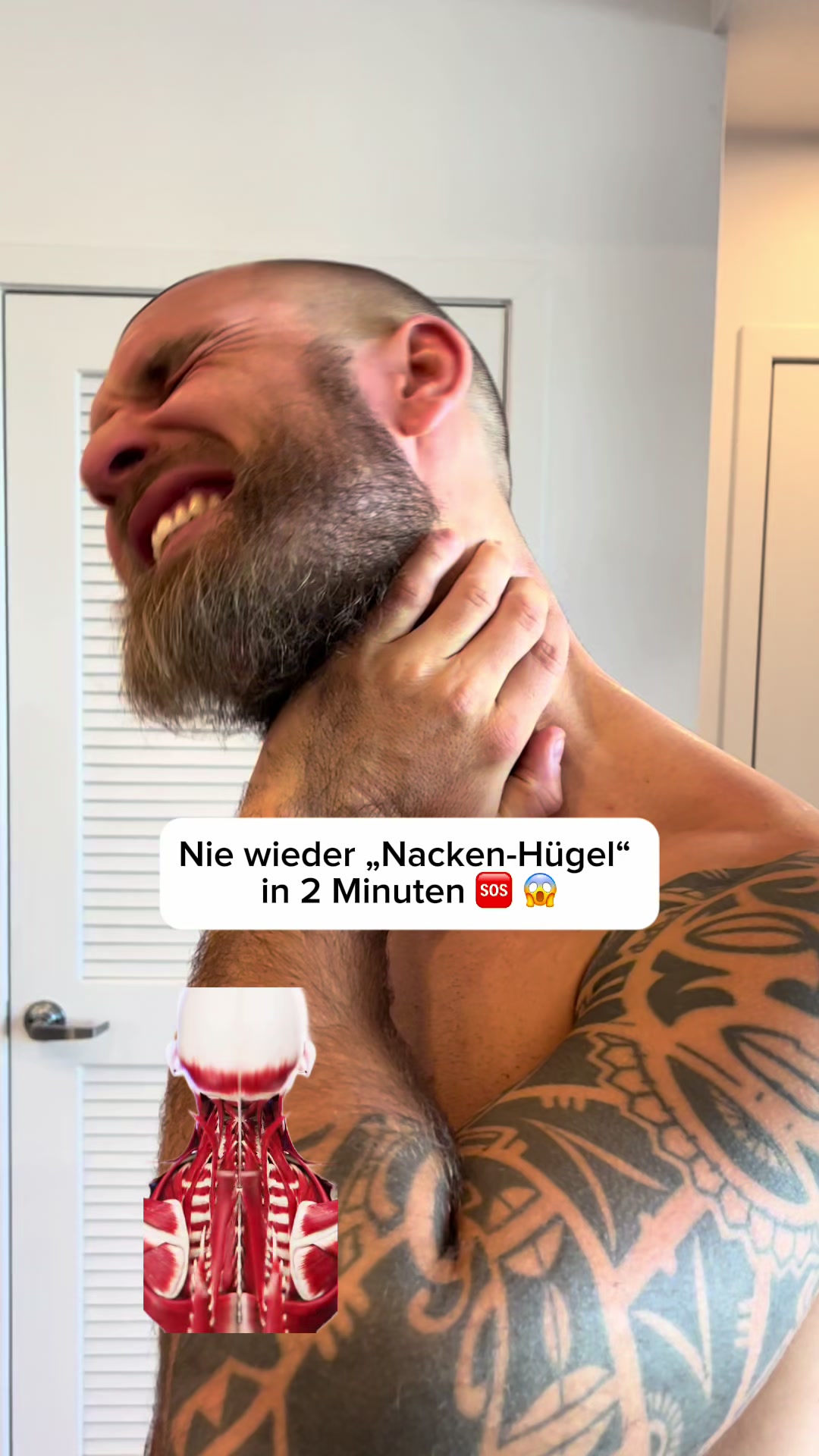 @Mr.High Level- Roll&rsquo;s weg