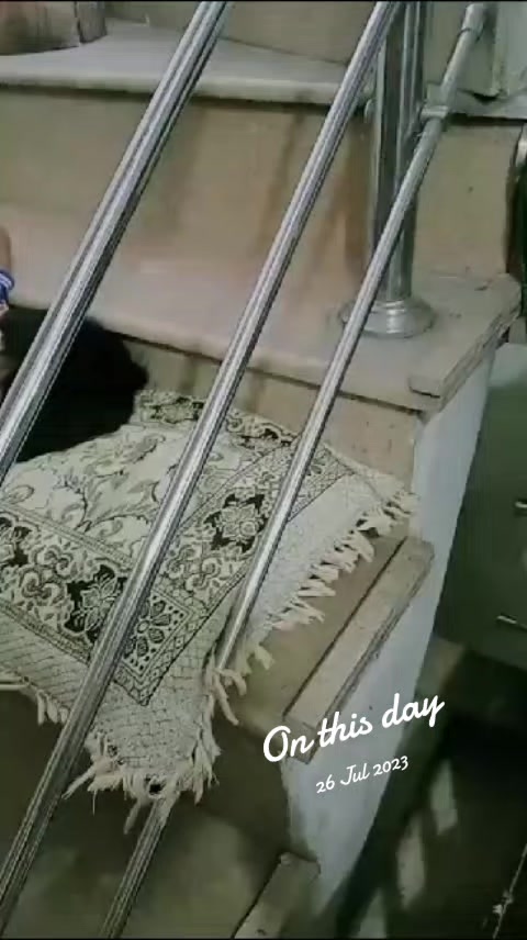 @mrsiqbal