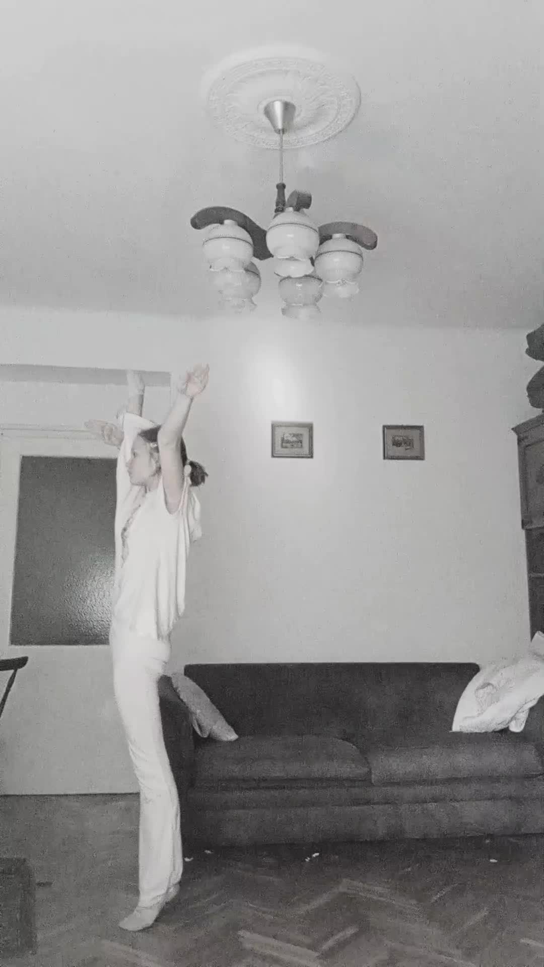 @circusobsessed