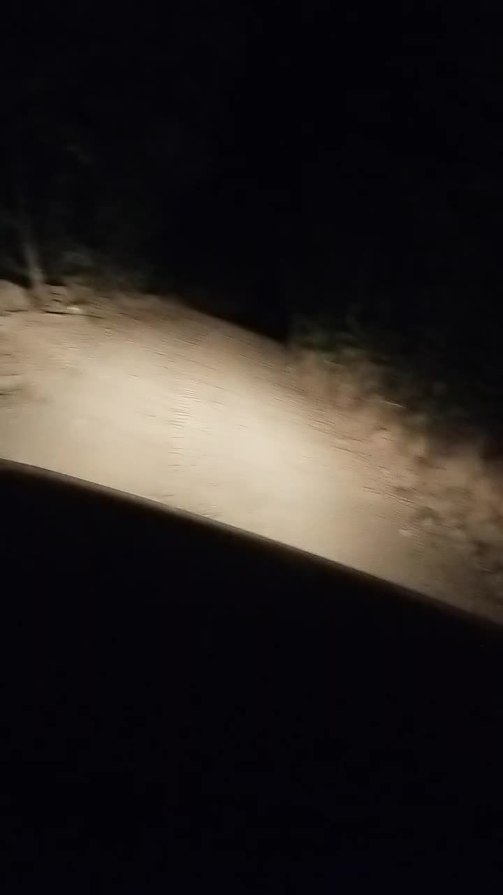 @Regi Regina