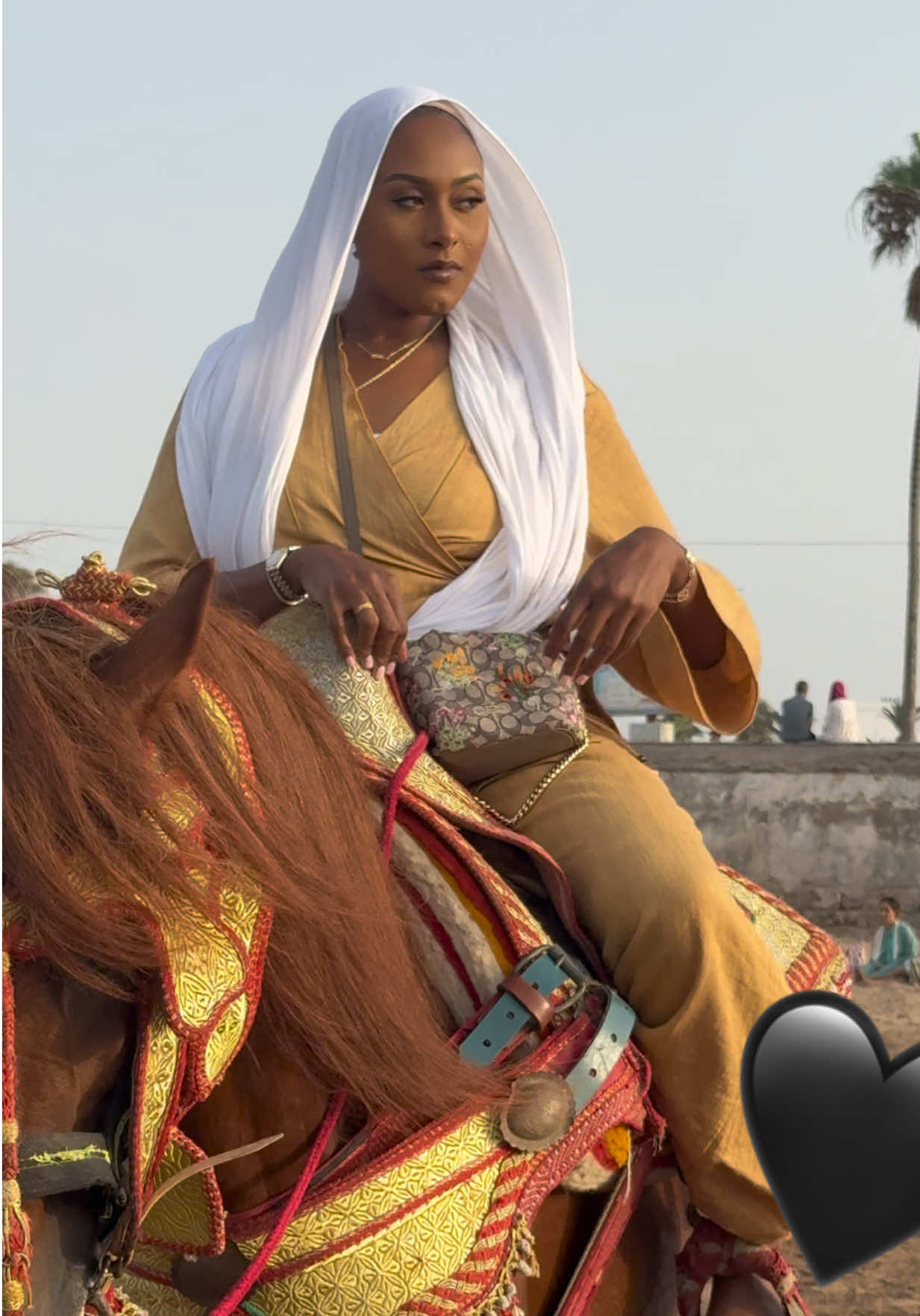 @Amirastorm