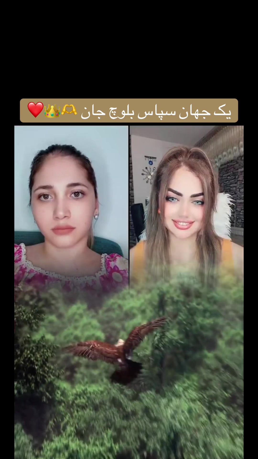@Samira
