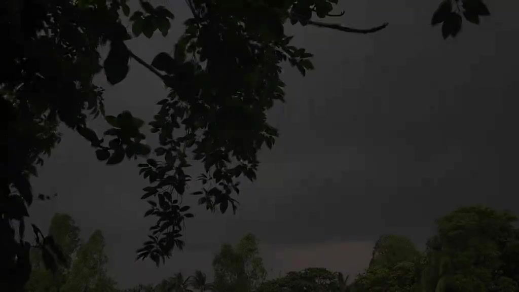 @আব্বু আম্মুর একমাত্র রাজকন্যা