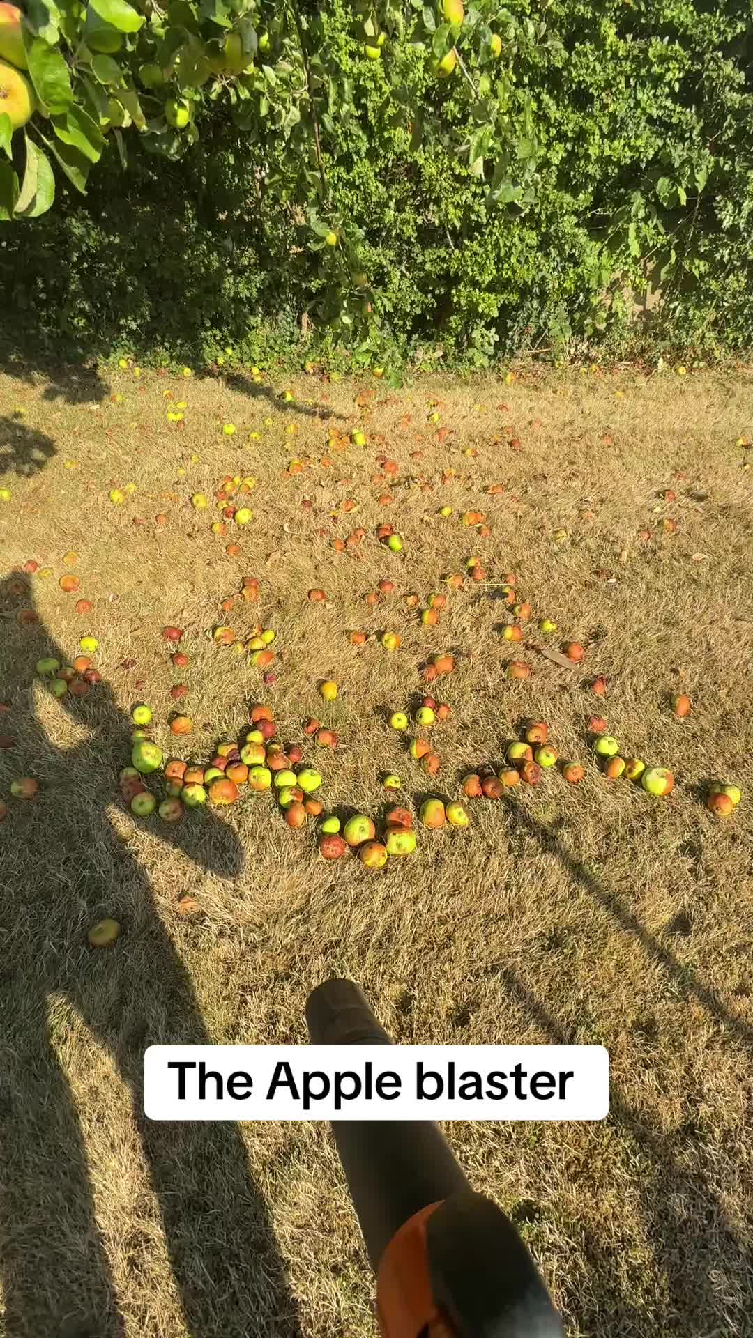@GardenStyle