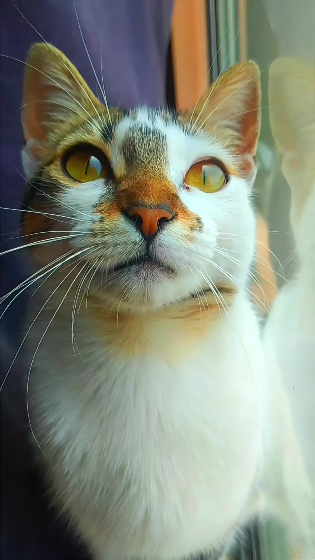 @Benita bonita
