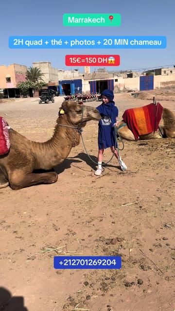 @Quadscape marrakech
