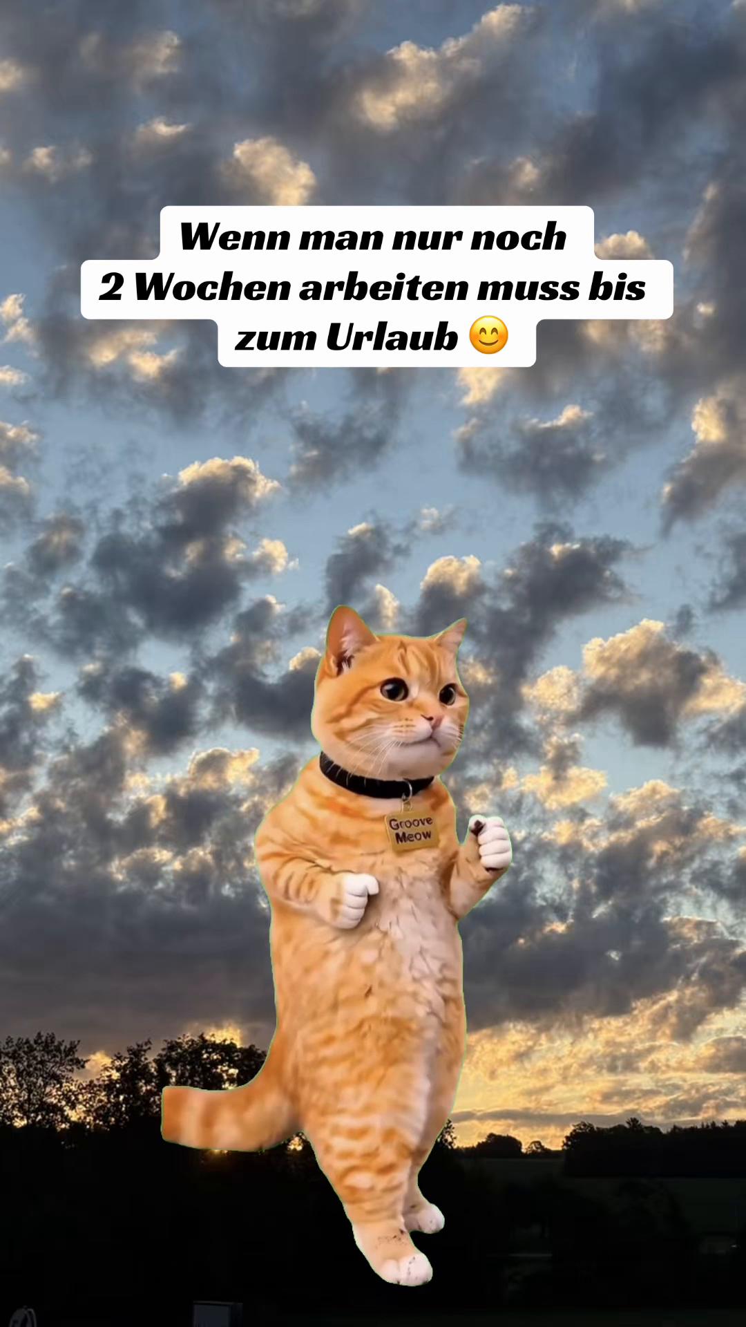 @stelzi96_2