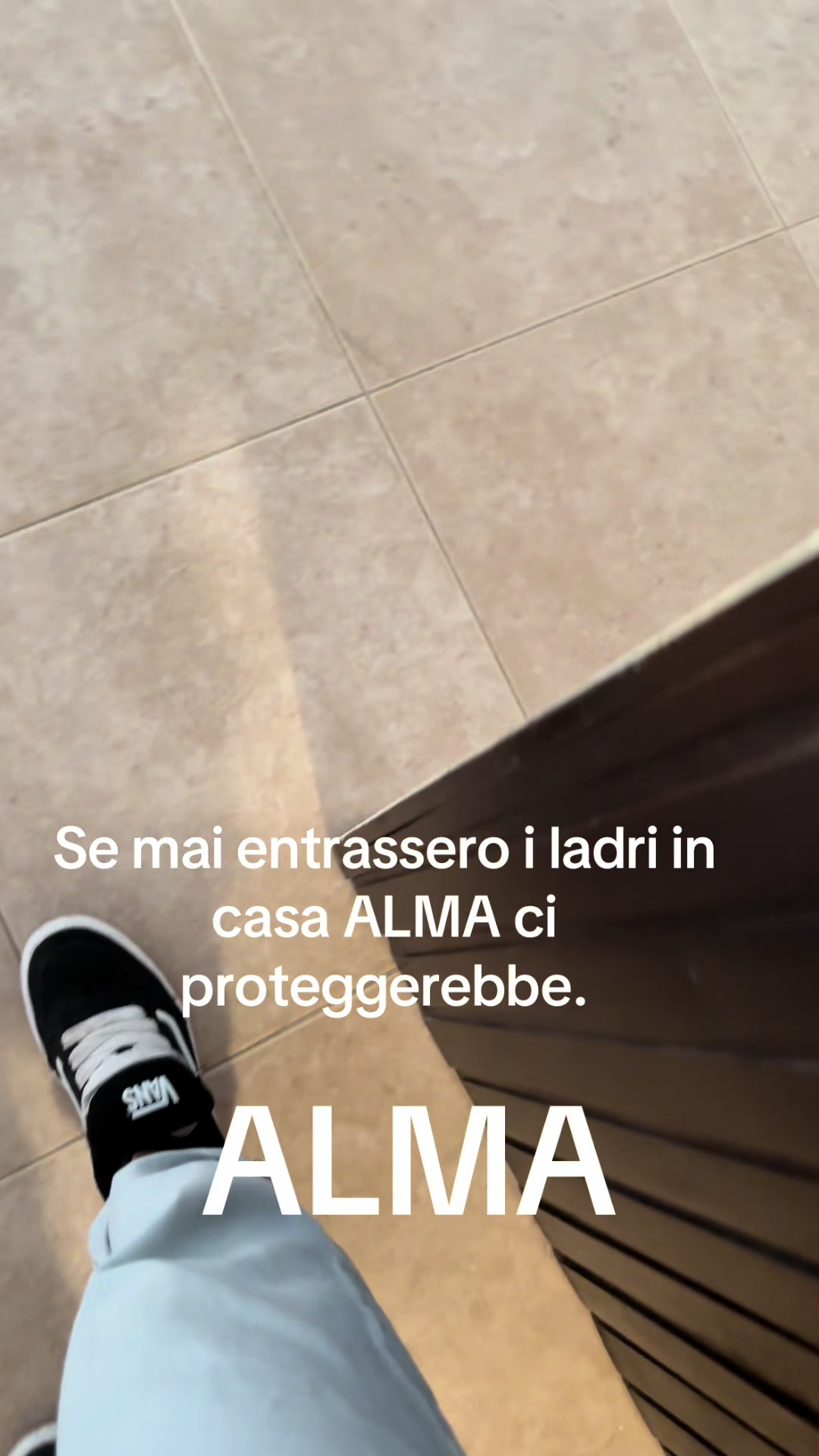 @ALMA_labradorRetriever