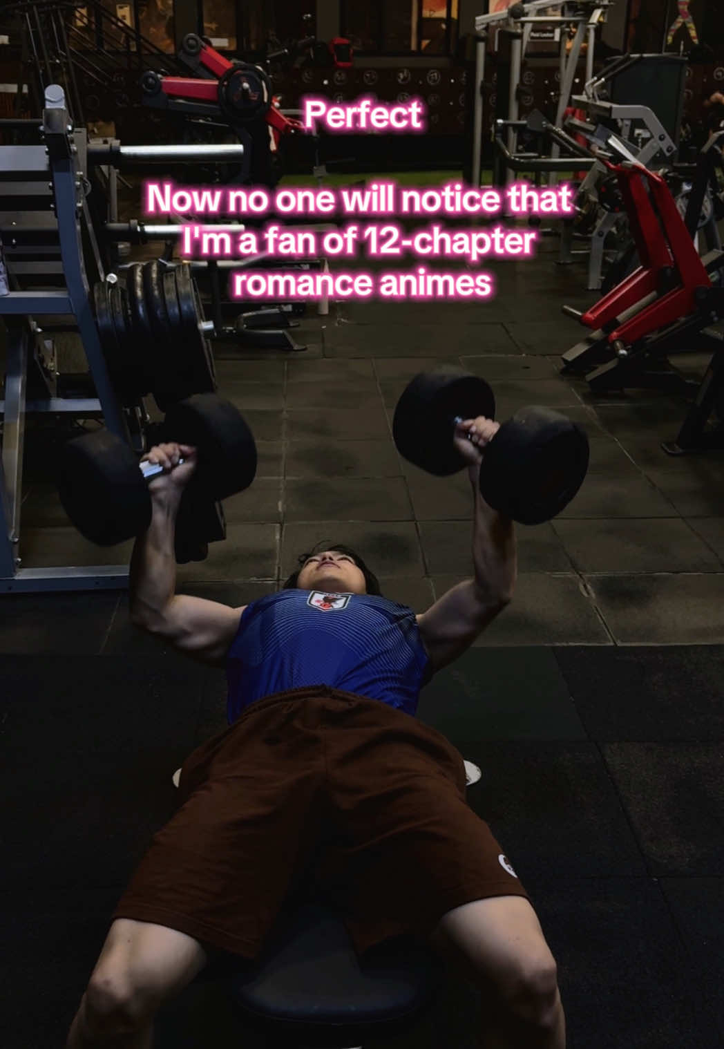 @udip.fit