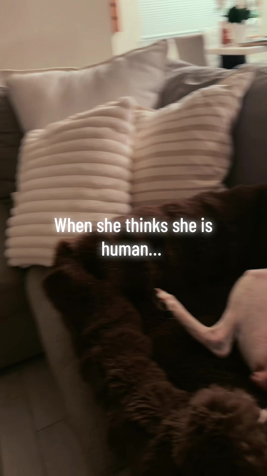 @𝓛𝓪𝓾𝓻𝓪 ⚘