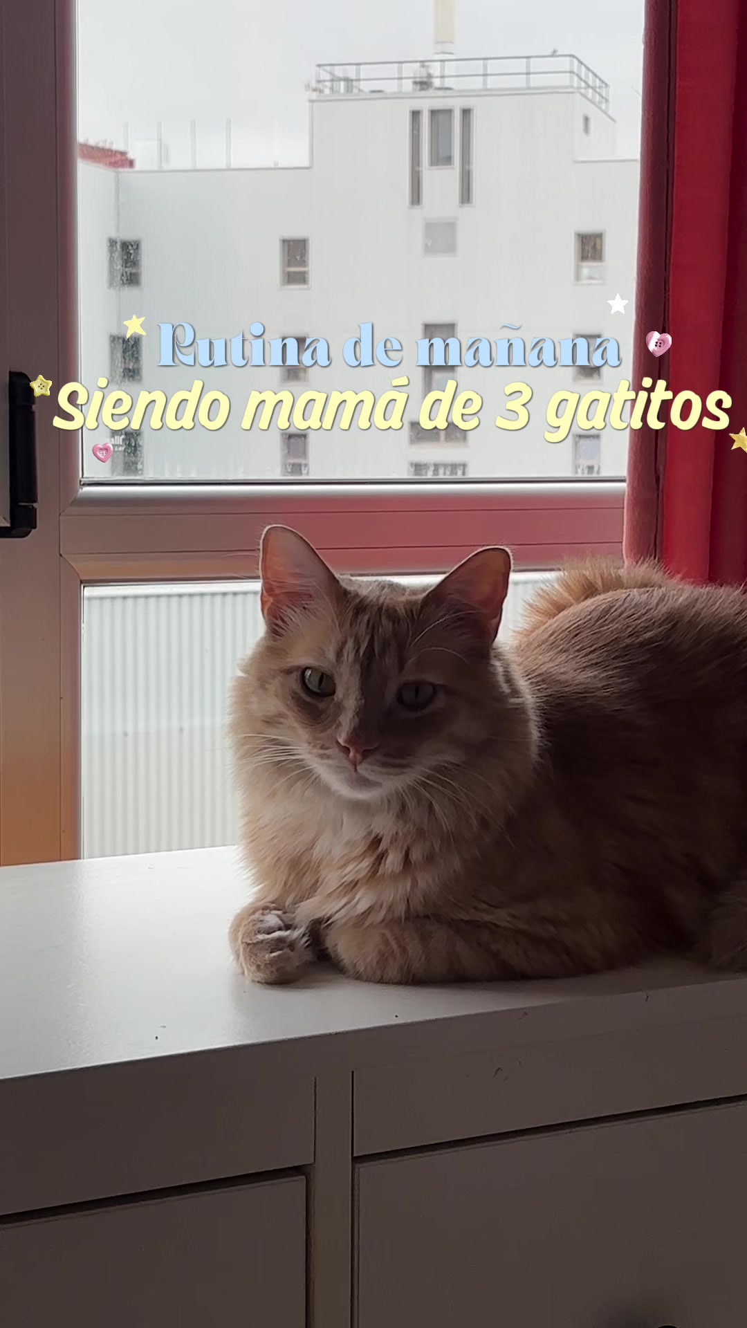 @- Alejandra 🐱💕