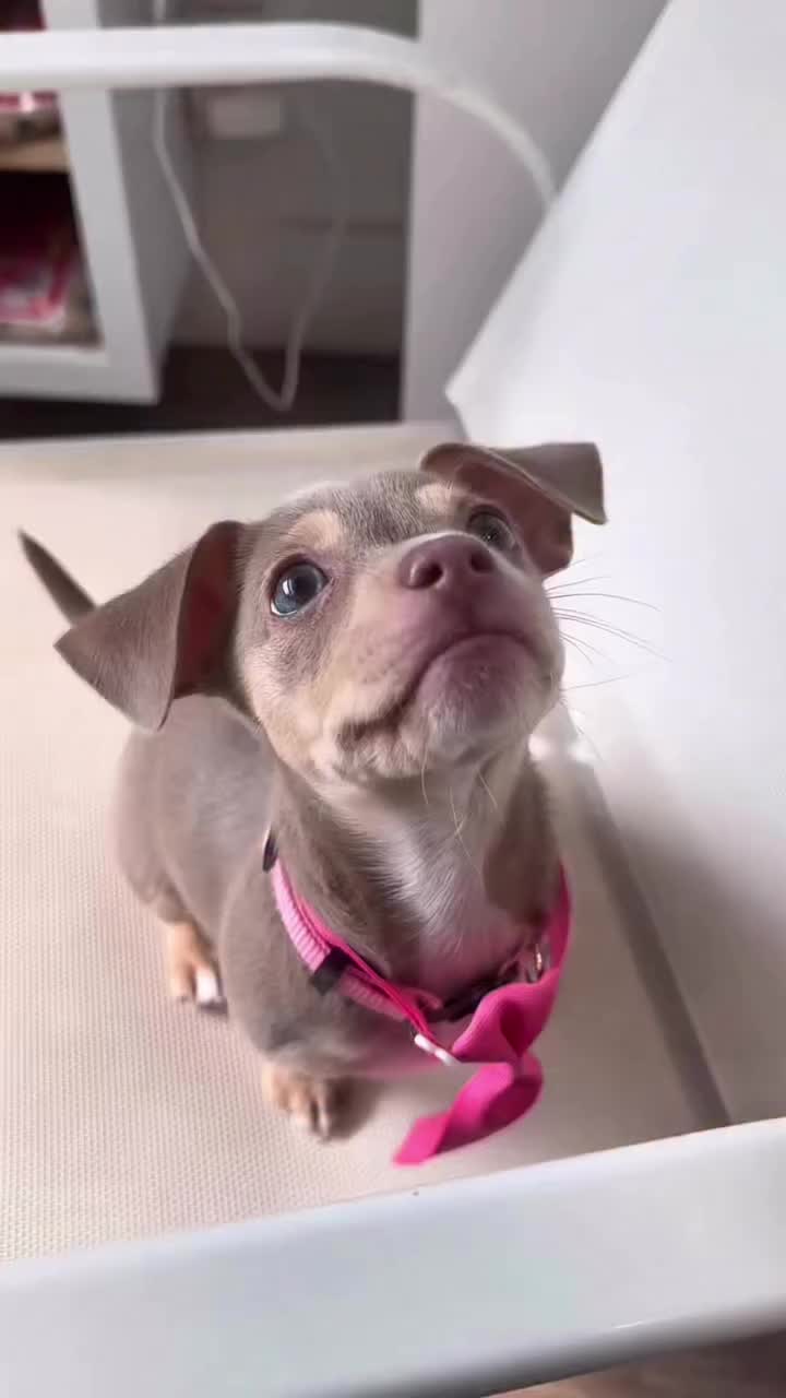 @mistermnn