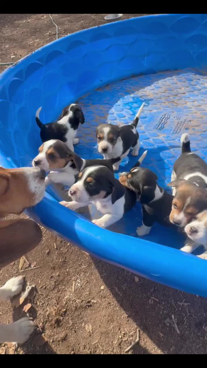 @Funny Cute