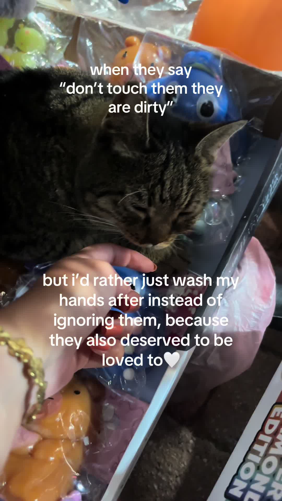 @evdreep