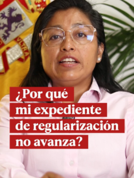 @Leonor Jami