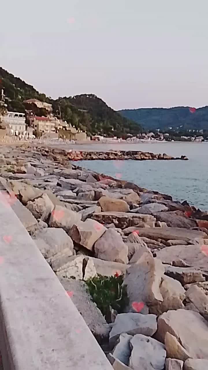 @raffaelladamiani20