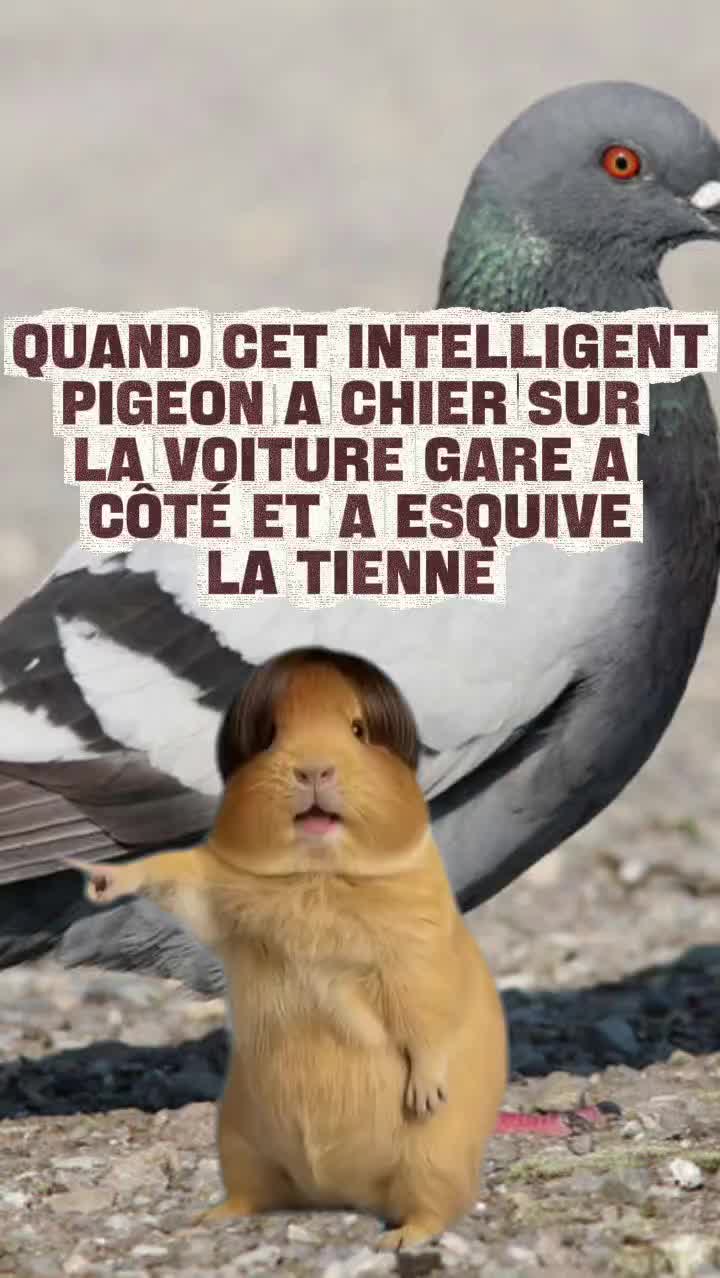 @Tchouk
