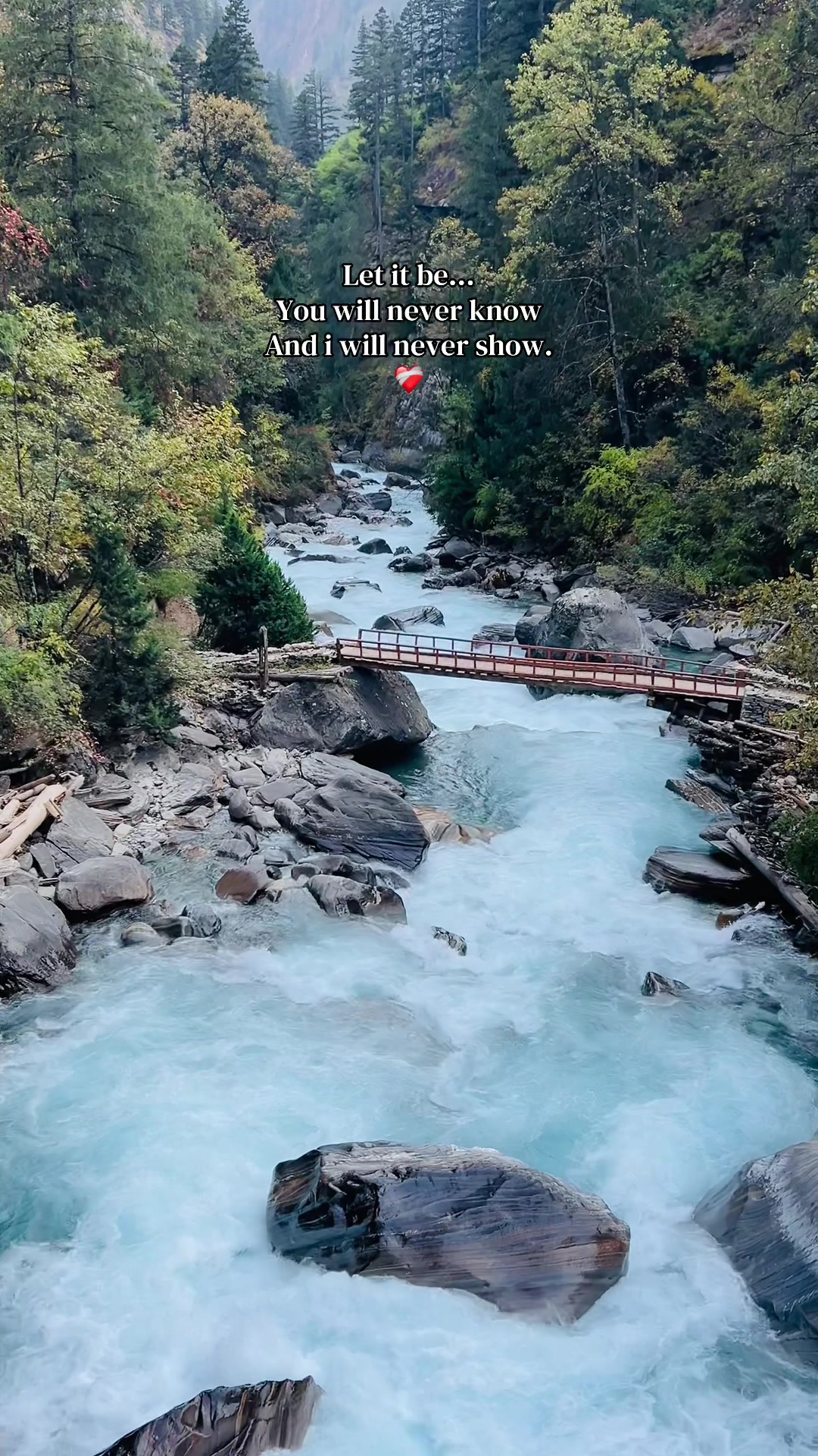 @Jyoti lama🕊️