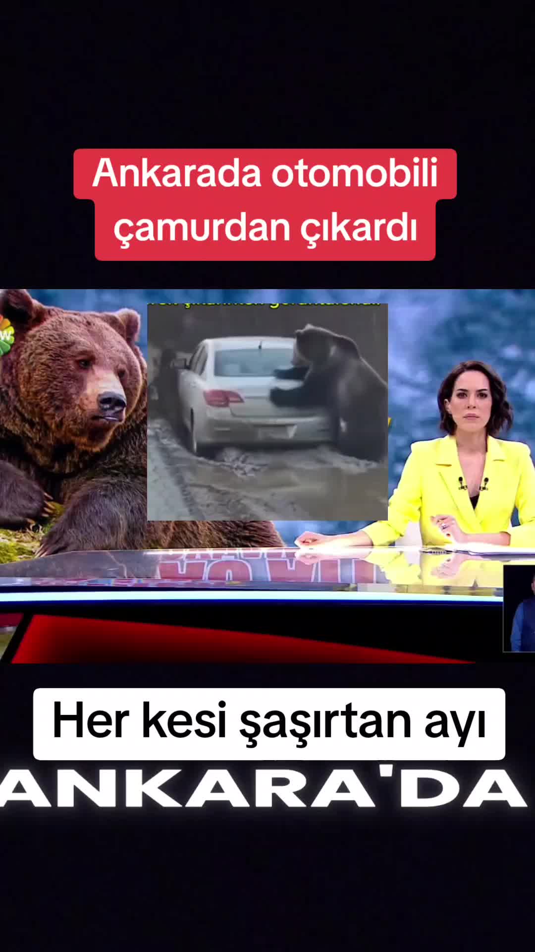 @🌐News_Blitz🌐