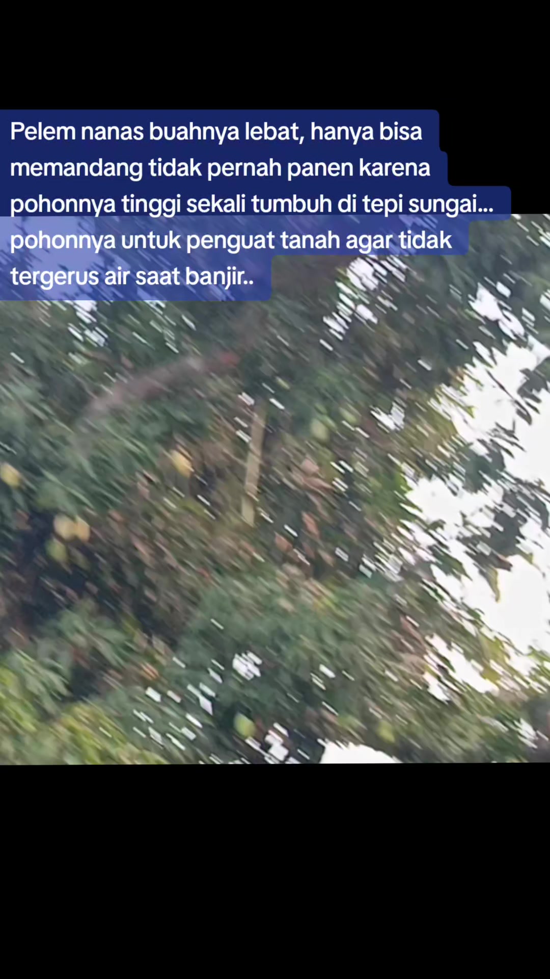@Lestari Sahsa Malika