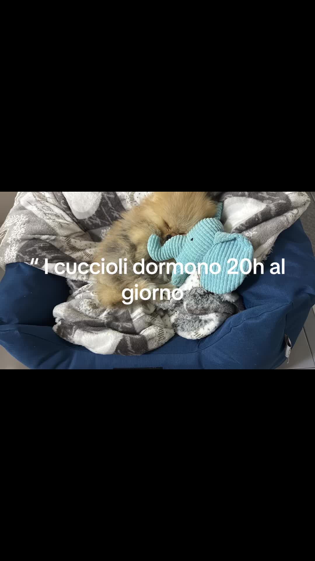 @Sabrina Lo Piccolo