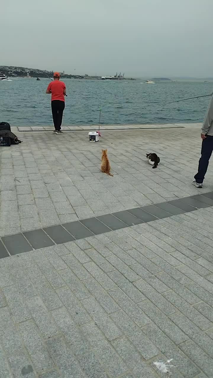@Jp Álvarez🇨🇴 🇵🇹 🇪🇦 🇹🇷