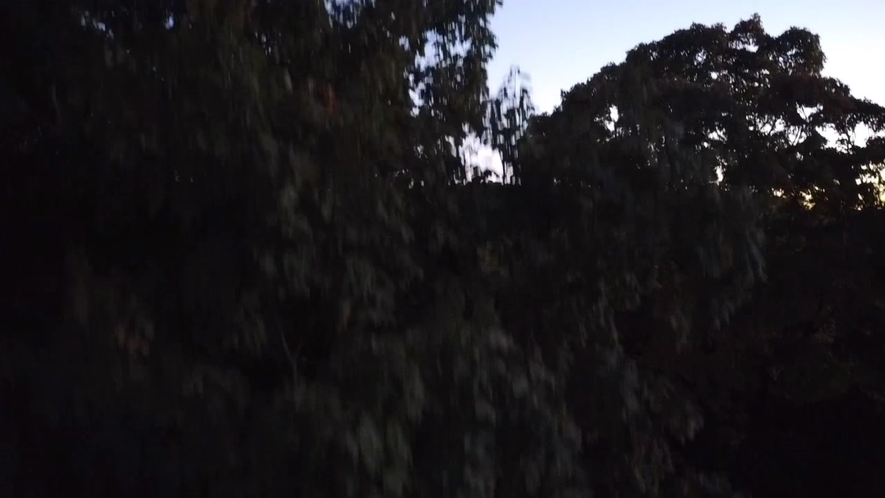 @Dodger331