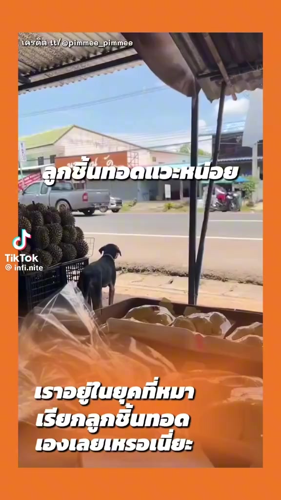 @ตุ้ม จันทาพูน