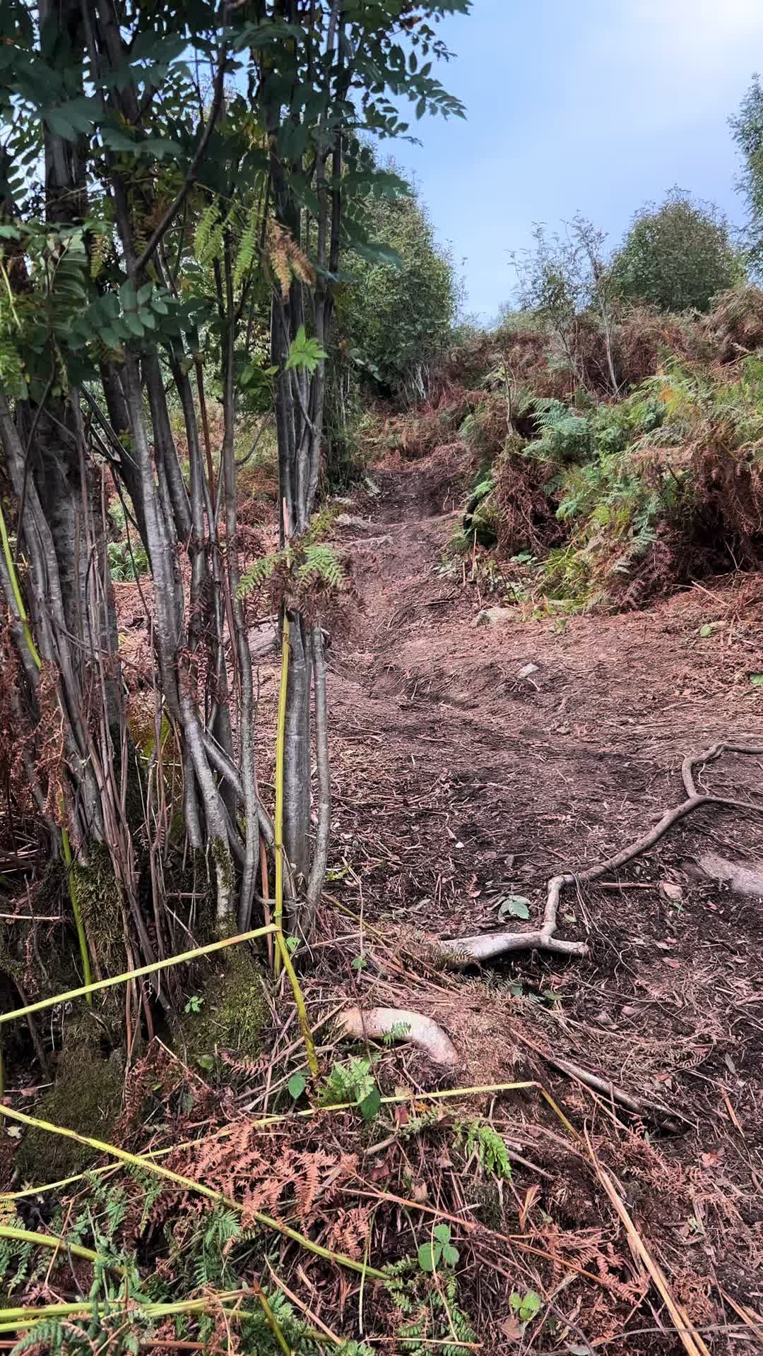 @ellis_on_canyon