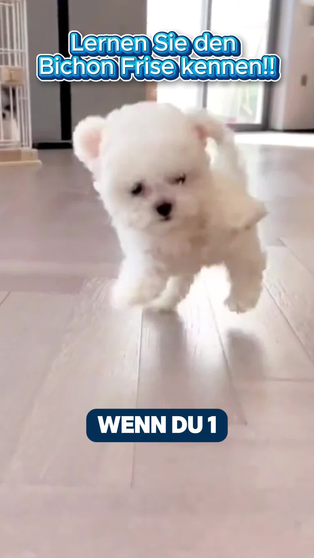 @vbrazcibm8