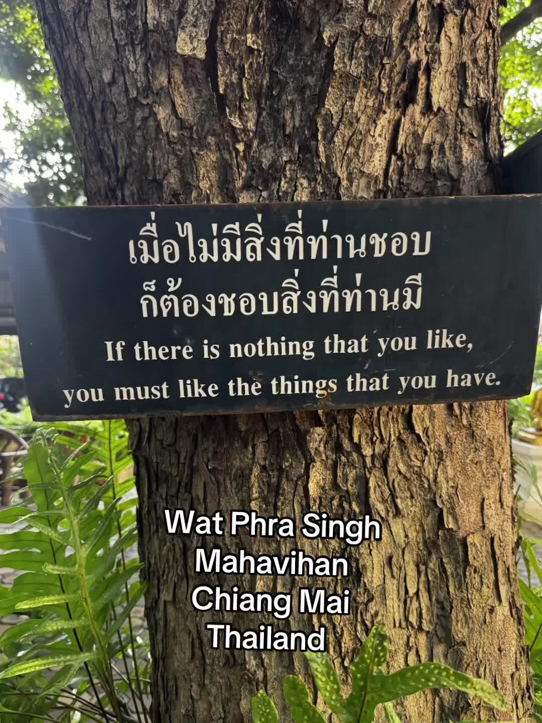 @Thailand awaits