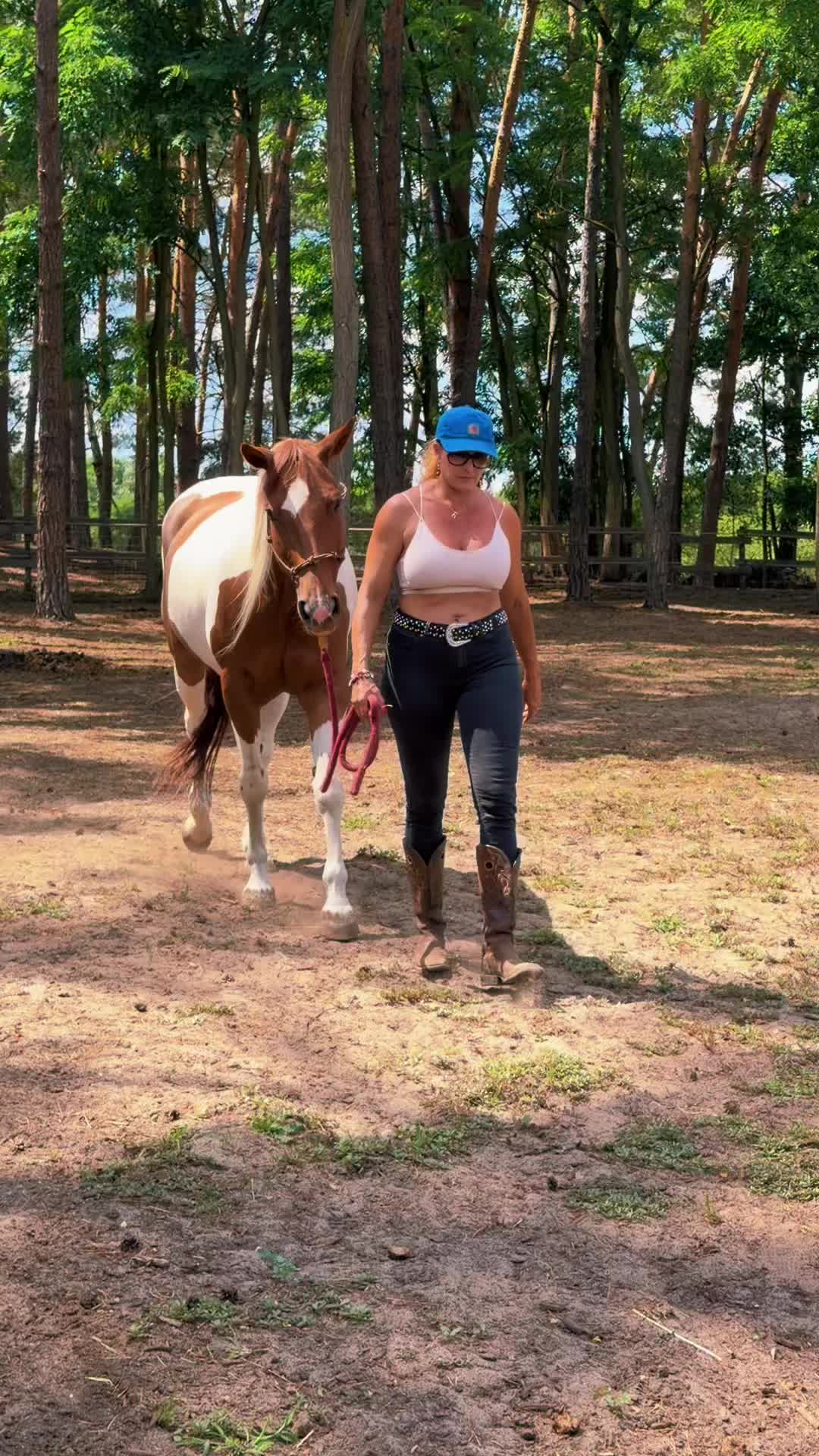 @Cestou Horsemanshipu